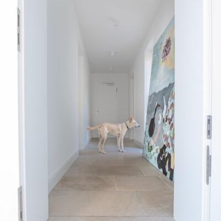Gefliester Flur mit weißen Wänden, ein Hund steht in der Mitte des Ganges